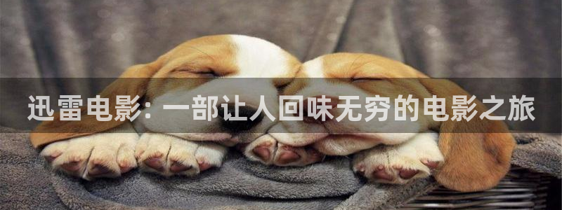 樱桃在线观看免费高清电视剧荣耀百