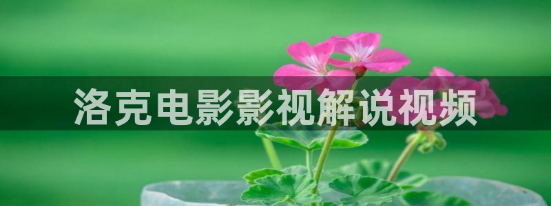 樱桃 视频 成人