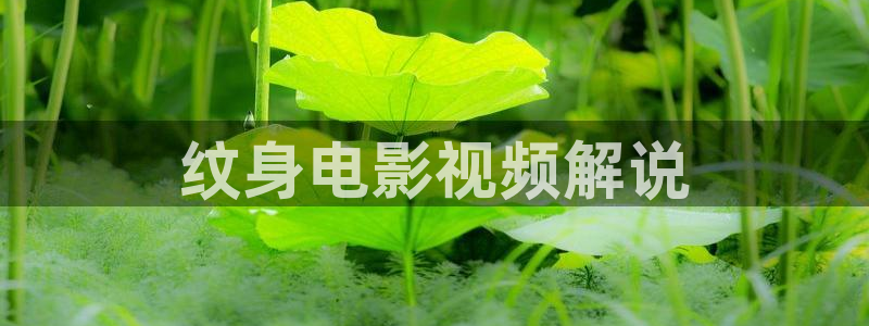 樱桃影院免费在线观看