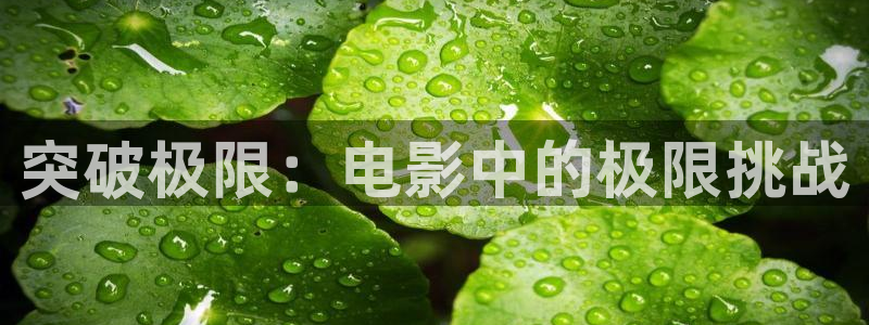 樱桃红在线观看视频免费完整版