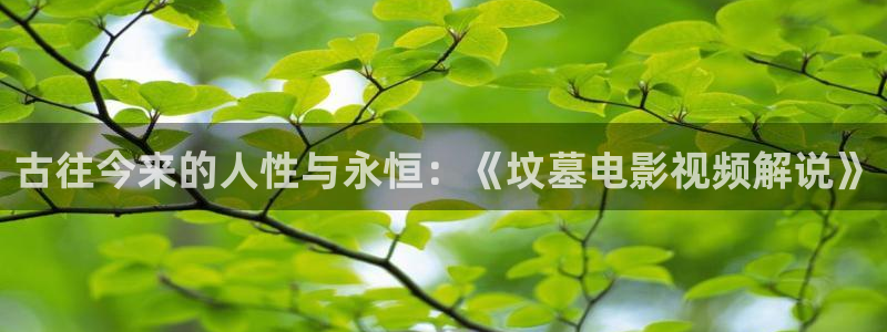 樱桃影院在线观看视频