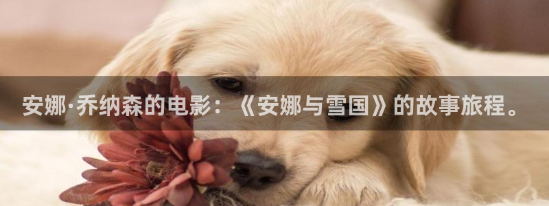 樱桃视频安装