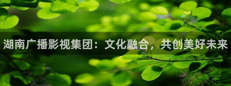 樱桃视频污片