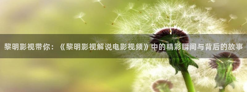 樱桃视频污app