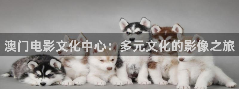 樱桃视频,