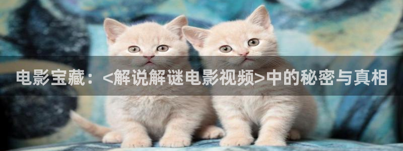 樱桃影院免费高清电视剧软件介绍