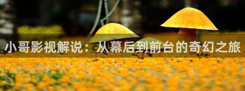 樱桃视频免费观看完整版