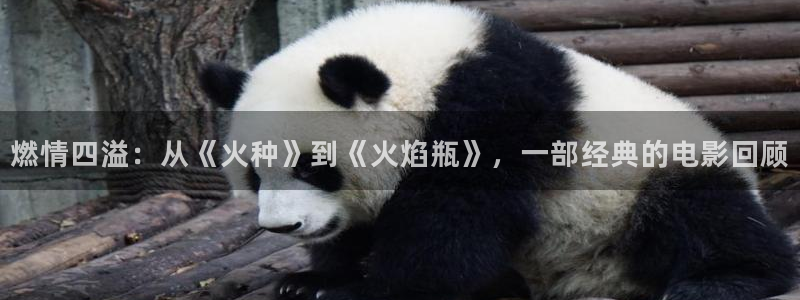 小小樱桃电视剧在线观看