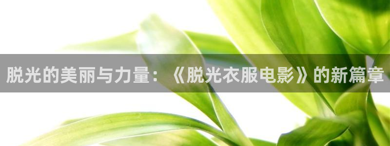 樱桃视频大全免费高清观看版