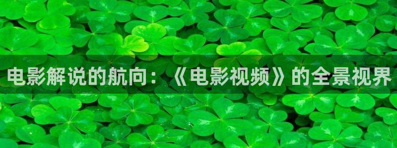 成 年 人 视频app大全樱桃