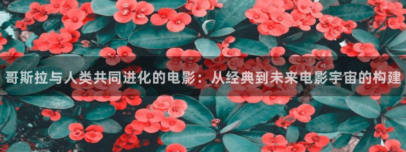 樱桃视频美女直播