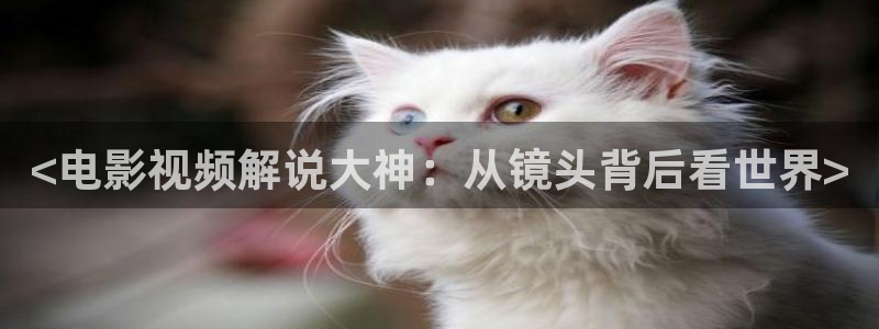 樱桃视频在线免费看