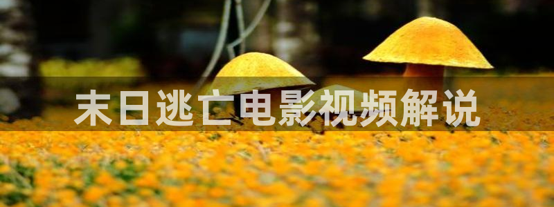 樱桃小视频短视频在线观看