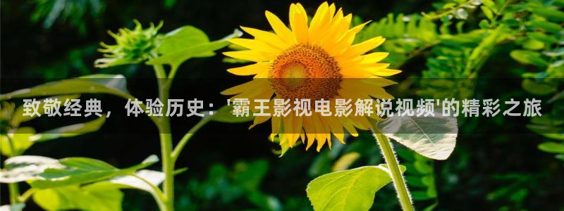 免费视频樱桃