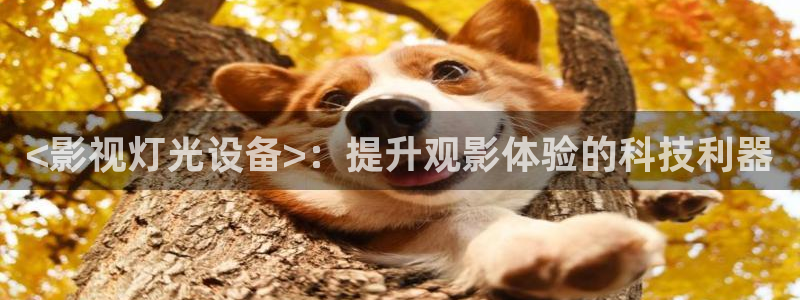 下载樱桃视频app