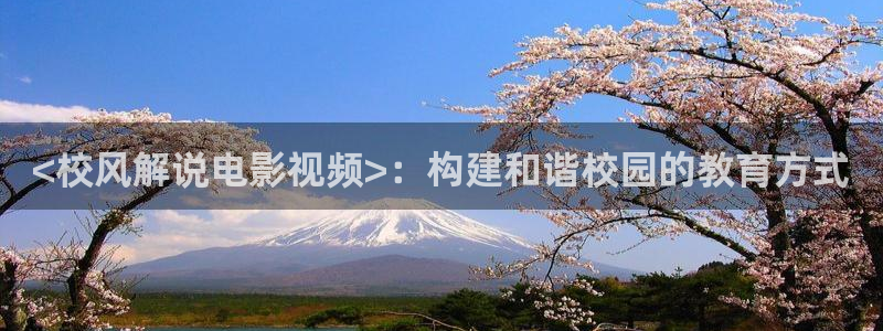 电视剧免费观看电视剧大全在线观看樱桃红