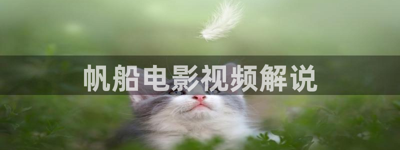 樱桃正红电视剧免费观看