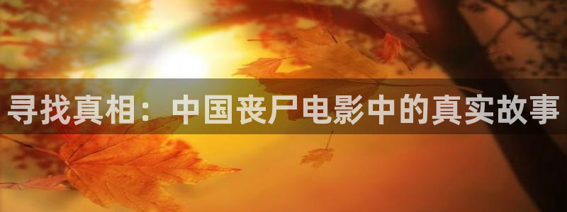 樱桃视频在线观看免费全集高清