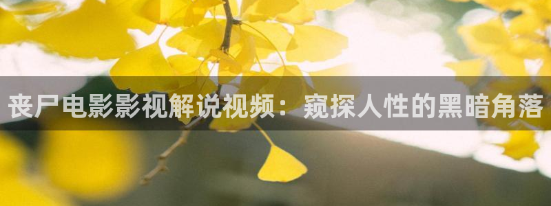 樱桃视频真人版免费观看