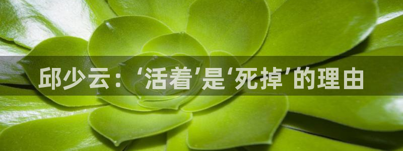 看樱桃免费视频