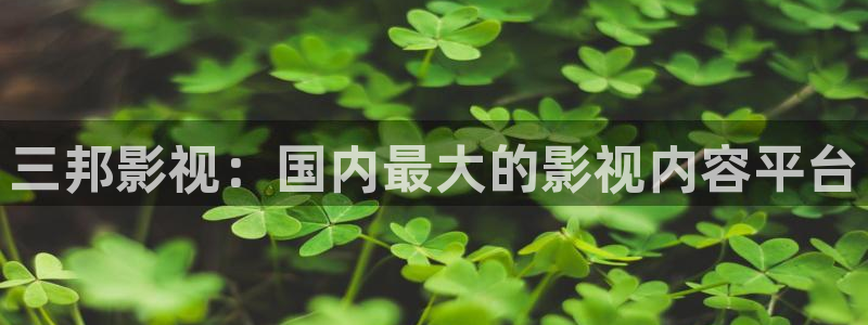 樱桃栽培技术视频