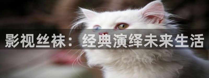 樱桃小视频的视频.