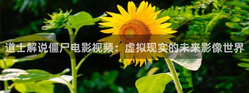 成人樱桃视频下载app