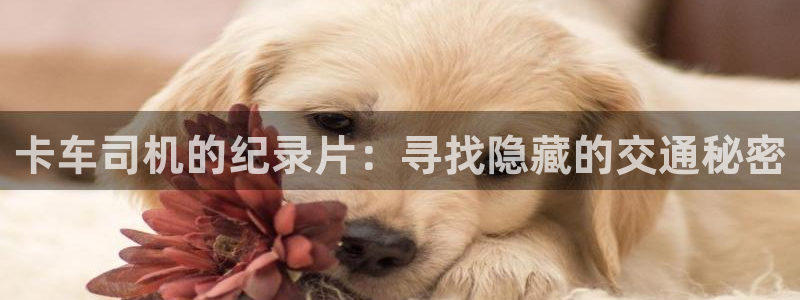樱桃视频tv