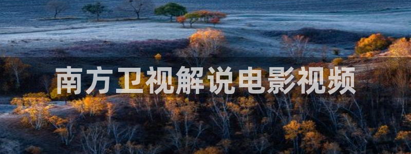 樱桃视频vip