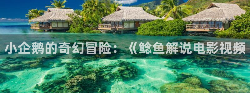 樱桃小视频在线观看免费视频：小企鹅的奇幻冒险：《鲶鱼解说电影视频