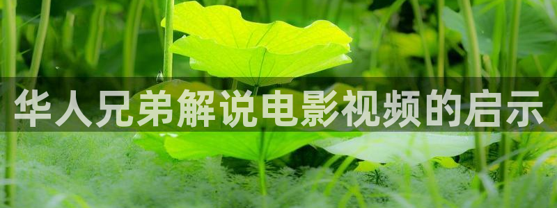 樱桃视频下载免费版
