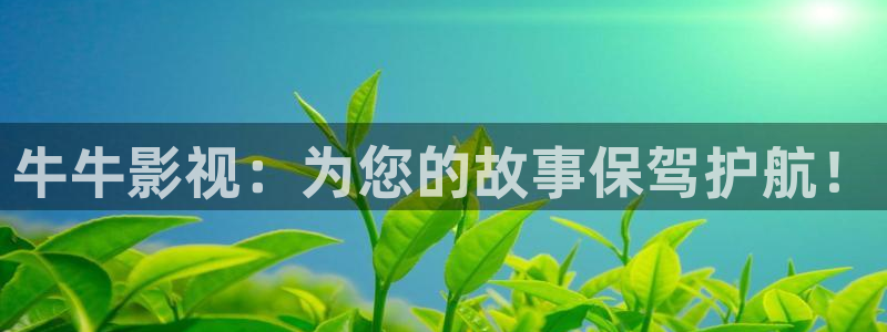 《樱桃》电视剧在线观看