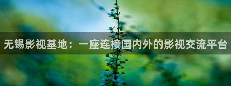 樱桃电影免费观看完整版