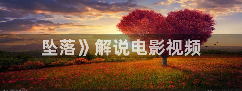 樱桃电视剧在线看免费
