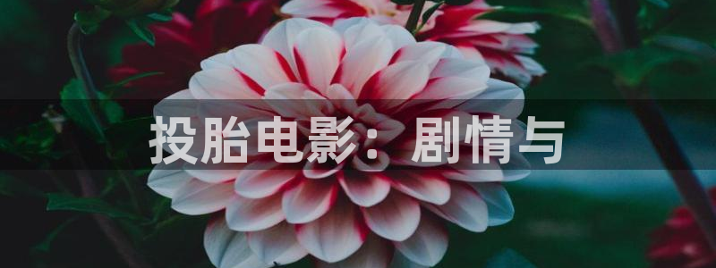 樱桃在线视频入口