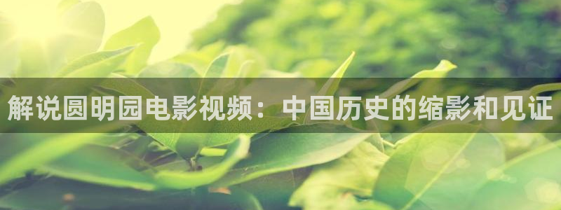 电视剧樱桃在线播放