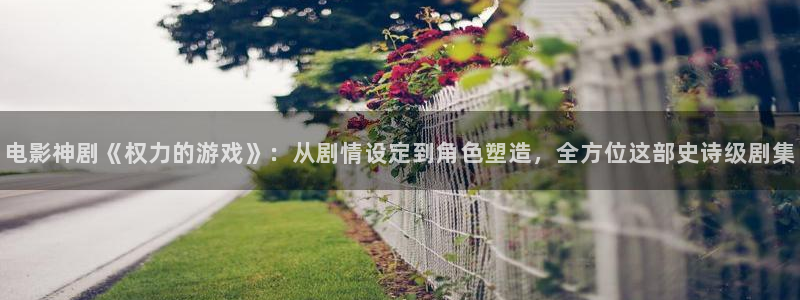 樱桃网视频