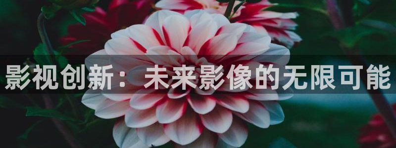 樱桃直播在线观看视频