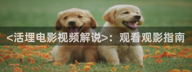 视频樱桃下载
