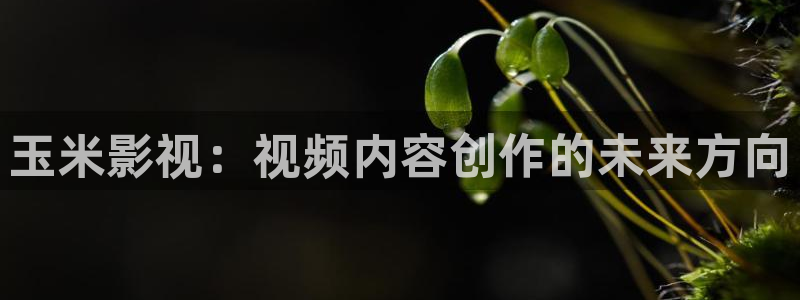 樱桃水果视频